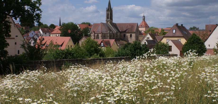 Münster