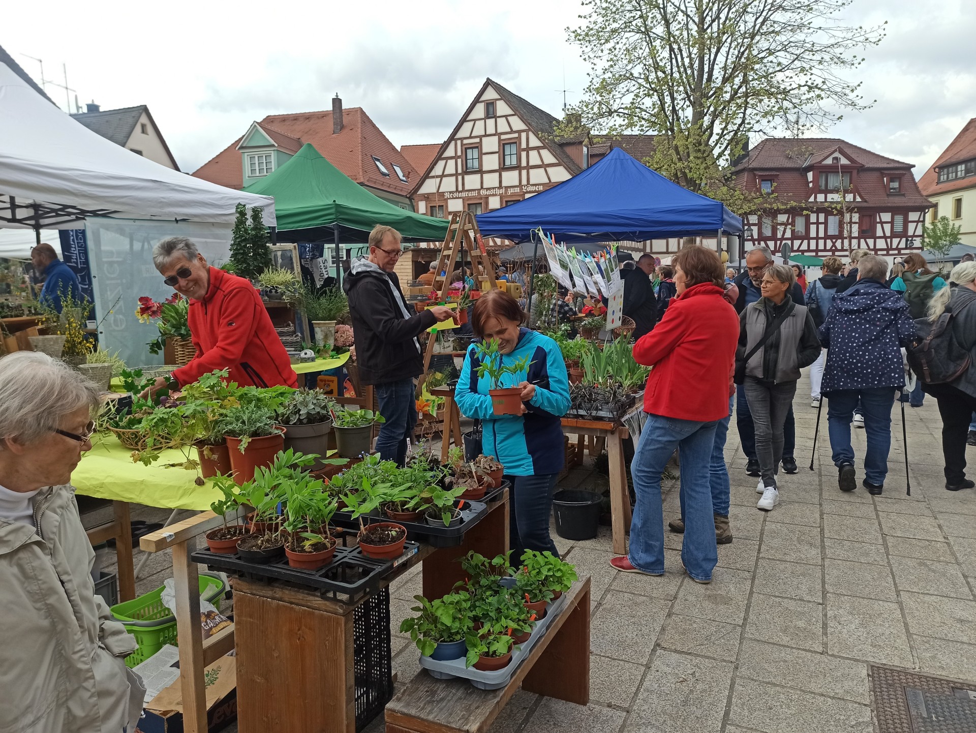 Grüner Markt