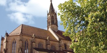 Heilsbronner Münster